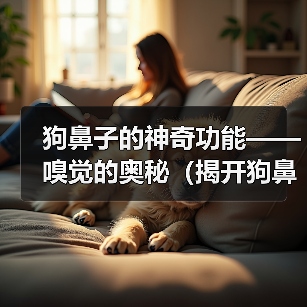 狗鼻子的神奇功能——嗅觉的奥秘（揭开狗鼻子的神秘面纱，探寻嗅觉的精准之道）