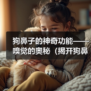狗鼻子的神奇功能——嗅觉的奥秘（揭开狗鼻子的神秘面纱，探寻嗅觉的精准之道）(图2)