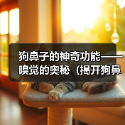 狗鼻子的神奇功能——嗅觉的奥秘（揭开狗鼻子的神秘面纱，探寻嗅觉的精准之道）(图4)
