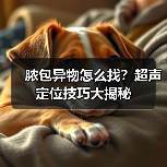 脓包异物怎么找?超声定位技巧大揭秘(图4) 脓包异物怎么找?超声定位技巧大揭秘(图4)