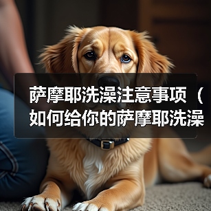 萨摩耶洗澡注意事项(如何给你的萨摩耶洗澡?)(图2) 萨摩耶洗澡注意事项(如何给你的萨摩耶洗澡?)(图2)