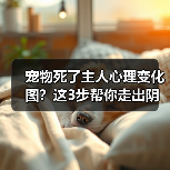 宠物死了主人心理变化图?这3步帮你走出阴影(图4) 宠物死了主人心理变化图?这3步帮你走出阴影(图4)