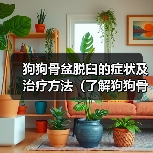 狗狗骨盆脱臼的症状及治疗方法(了解狗狗骨盆脱臼的常见症状和有效的治疗方法)(图3) 狗狗骨盆脱臼的症状及治疗方法(了解狗狗骨盆脱臼的常见症状和有效的治疗方法)(图3)