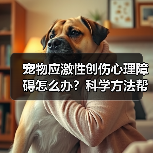 宠物应激性创伤心理障碍怎么办?科学方法帮你解决(图2) 宠物应激性创伤心理障碍怎么办?科学方法帮你解决(图2)