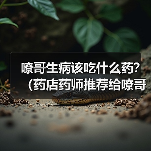嘹哥生病该吃什么药?(药店药师推荐给嘹哥的6种常见药品)(图3) 嘹哥生病该吃什么药?(药店药师推荐给嘹哥的6种常见药品)(图3)