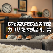 探秘美短花纹的美丽魅力(从花纹到品种,美短猫引领宠物时尚潮流)(图2) 探秘美短花纹的美丽魅力(从花纹到品种,美短猫引领宠物时尚潮流)(图2)