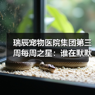 瑞辰宠物医院集团第三周每周之星:谁在默默守护宠物健康?(图2) 瑞辰宠物医院集团第三周每周之星:谁在默默守护宠物健康?(图2)