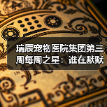 瑞辰宠物医院集团第三周每周之星:谁在默默守护宠物健康?(图4) 瑞辰宠物医院集团第三周每周之星:谁在默默守护宠物健康?(图4)