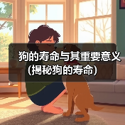 狗的寿命与其重要意义(揭秘狗的寿命)(图2) 狗的寿命与其重要意义(揭秘狗的寿命)(图2)