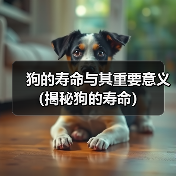 狗的寿命与其重要意义（揭秘狗的寿命）