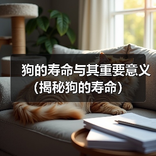 狗的寿命与其重要意义(揭秘狗的寿命)(图4) 狗的寿命与其重要意义(揭秘狗的寿命)(图4)