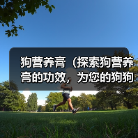 狗营养膏(探索狗营养膏的功效,为您的狗狗带来更好的生活品质)(图2) 狗营养膏(探索狗营养膏的功效,为您的狗狗带来更好的生活品质)(图2)