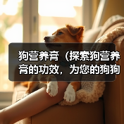 狗营养膏（探索狗营养膏的功效，为您的狗狗带来更好的生活品质）