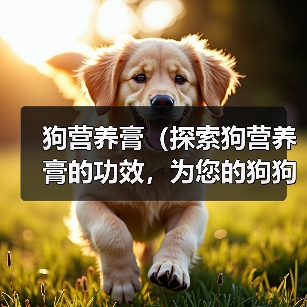 狗营养膏(探索狗营养膏的功效,为您的狗狗带来更好的生活品质)(图4) 狗营养膏(探索狗营养膏的功效,为您的狗狗带来更好的生活品质)(图4)
