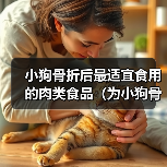 小狗骨折后最适宜食用的肉类食品（为小狗骨折康复提供全面的营养支持）