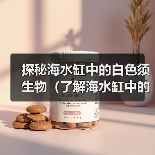 探秘海水缸中的白色须生物(了解海水缸中的不同种类白色须生物的特点及养殖要点)(图2) 探秘海水缸中的白色须生物(了解海水缸中的不同种类白色须生物的特点及养殖要点)(图2)