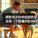 探秘海水缸中的白色须生物(了解海水缸中的不同种类白色须生物的特点及养殖要点)(图4) 探秘海水缸中的白色须生物(了解海水缸中的不同种类白色须生物的特点及养殖要点)(图4)