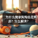为什么我家狗狗总是焦虑?怎么解决?(图1) 为什么我家狗狗总是焦虑?怎么解决?(图1)