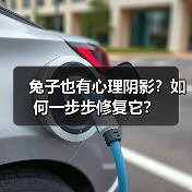 兔子也有心理阴影?如何一步步修复它?(图3) 兔子也有心理阴影?如何一步步修复它?(图3)
