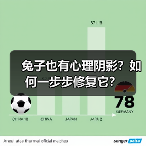 兔子也有心理阴影?如何一步步修复它?(图4) 兔子也有心理阴影?如何一步步修复它?(图4)