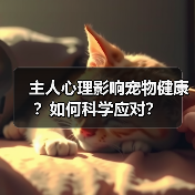 主人心理影响宠物健康?如何科学应对?(图1) 主人心理影响宠物健康?如何科学应对?(图1)