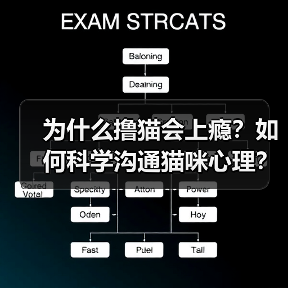 为什么撸猫会上瘾?如何科学沟通猫咪心理?(图4) 为什么撸猫会上瘾?如何科学沟通猫咪心理?(图4)