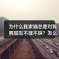 为什么我家猫总是对我男朋友不理不睬？怎么解决？(图3)