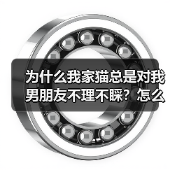 为什么我家猫总是对我男朋友不理不睬？怎么解决？(图4)