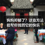 狗狗抑郁了?这些方法能帮你找回它的快乐(图1) 狗狗抑郁了?这些方法能帮你找回它的快乐(图1)