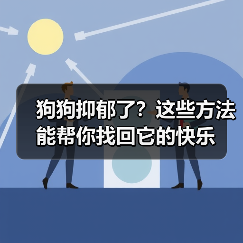 狗狗抑郁了?这些方法能帮你找回它的快乐(图3) 狗狗抑郁了?这些方法能帮你找回它的快乐(图3)
