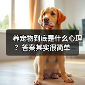 养宠物到底是什么心理？答案其实很简单(图3)