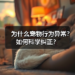为什么宠物行为异常?如何科学纠正?(图1) 为什么宠物行为异常?如何科学纠正?(图1)