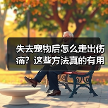 失去宠物后怎么走出伤痛?这些方法真的有用(图3) 失去宠物后怎么走出伤痛?这些方法真的有用(图3)