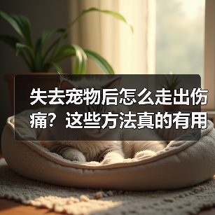 失去宠物后怎么走出伤痛?这些方法真的有用(图2) 失去宠物后怎么走出伤痛?这些方法真的有用(图2)