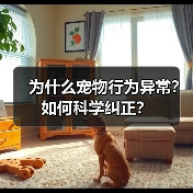 为什么宠物行为异常?如何科学纠正?(图3) 为什么宠物行为异常?如何科学纠正?(图3)