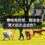 宠物离世后,我该怎么做才能走出悲伤?(图3) 宠物离世后,我该怎么做才能走出悲伤?(图3)