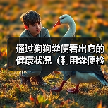 通过狗狗粪便看出它的健康状况（利用粪便检测法辨别狗狗身体疾病）