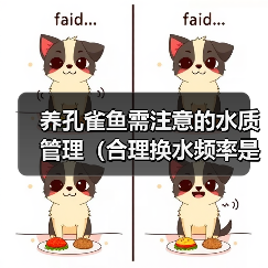 养孔雀鱼需注意的水质管理(合理换水频率是保持孔雀鱼健康的关键)(图3) 养孔雀鱼需注意的水质管理(合理换水频率是保持孔雀鱼健康的关键)(图3)