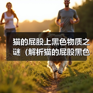 猫的屁股上黑色物质之谜（解析猫的屁股黑色物质的成因和意义）
