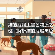 猫的屁股上黑色物质之谜(解析猫的屁股黑色物质的成因和意义)(图3) 猫的屁股上黑色物质之谜(解析猫的屁股黑色物质的成因和意义)(图3)