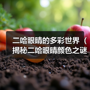 二哈眼睛的多彩世界(揭秘二哈眼睛颜色之谜)(图2) 二哈眼睛的多彩世界(揭秘二哈眼睛颜色之谜)(图2)