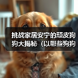 挑战家居安宁的顽皮狗狗大揭秘(以哪些狗狗最能拆家?)(图4) 挑战家居安宁的顽皮狗狗大揭秘(以哪些狗狗最能拆家?)(图4)