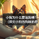 小狗为什么要泡狗粮？（探究小狗泡狗粮的原因及好处）