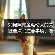 如何照顾金毛幼犬的关键要点(注意事项、喂养、训练、社交化、健康等方面的全面指南)(图4) 如何照顾金毛幼犬的关键要点(注意事项、喂养、训练、社交化、健康等方面的全面指南)(图4)