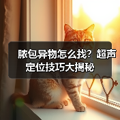 脓包异物怎么找?超声定位技巧大揭秘(图2) 脓包异物怎么找?超声定位技巧大揭秘(图2)