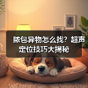 脓包异物怎么找?超声定位技巧大揭秘(图3) 脓包异物怎么找?超声定位技巧大揭秘(图3)
