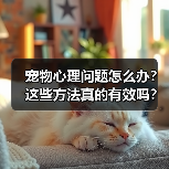 宠物心理问题怎么办?这些方法真的有效吗?(图3) 宠物心理问题怎么办?这些方法真的有效吗?(图3)