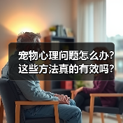 宠物心理问题怎么办?这些方法真的有效吗?(图4) 宠物心理问题怎么办?这些方法真的有效吗?(图4)