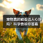 宠物真的能看透人心理吗?科学告诉你答案(图1) 宠物真的能看透人心理吗?科学告诉你答案(图1)