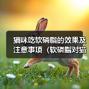 猫咪吃软磷脂的效果及注意事项(软磷脂对猫咪的健康有何影响,怎样正确喂养)(图2) 猫咪吃软磷脂的效果及注意事项(软磷脂对猫咪的健康有何影响,怎样正确喂养)(图2)